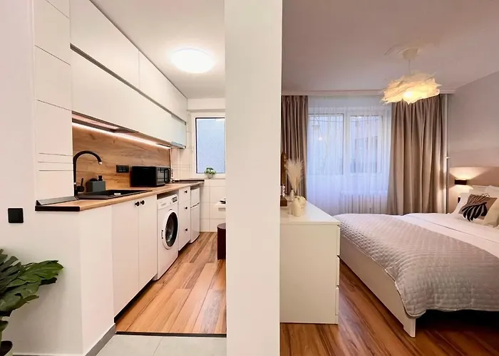 Dorobanti Unique Designed 부쿠레슈티