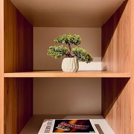 Apartment Dorobanti Unique Designed