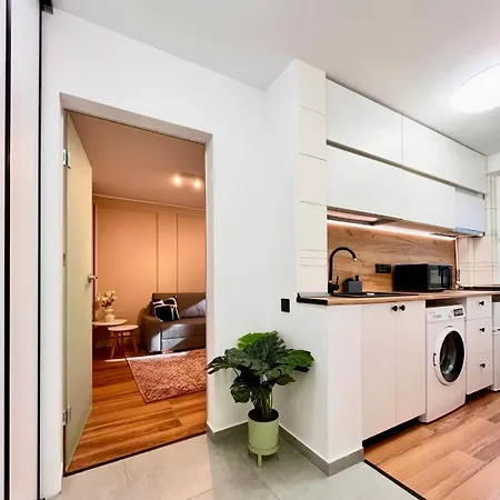 Apartment Dorobanti Unique Designed