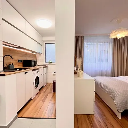 Dorobanti Unique Designed Bucarest